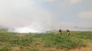 Manyas ve Bandırma arasında sazlık alanda yangın çıktı