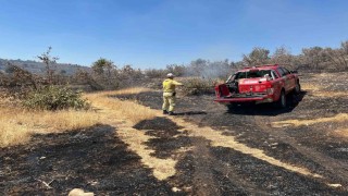 Mardinde çıkan orman yangını söndürüldü