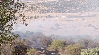 Mardinde çıkan orman yangını söndürüldü