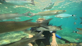 Marmariste dalış turizmine yoğun ilgi