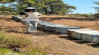 Menteşede arı kovan destekleme tespit çalışmaları devam ediyor