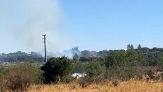 Menteşede makilik alan yangını