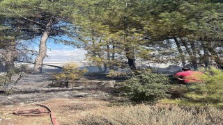 Menteşedeki yangın kısa sürede söndürüldü