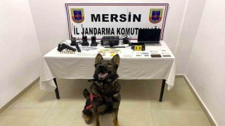 Mersinde uyuşturucu operasyonu