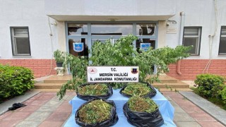 Mersinde zehir tacirlerine darbe