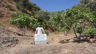 Mezar taşı değil, ‘herkes yesin uyarısı