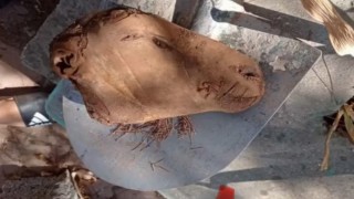 Mezarlıkları büyülerle doldurdular