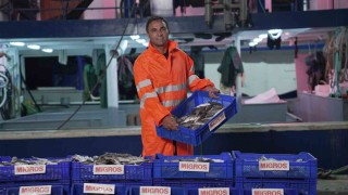 Migros, tüketicilere 15 bin ton taze balık ulaştıracak