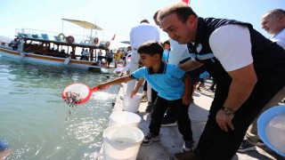 Milas Boğaziçine 150 bin çipura ve 10 bin levrek yavrusu bırakıldı