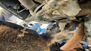 Minibüsün altında sıkışıp mahsur kalan köpeği itfaiye kurtardı