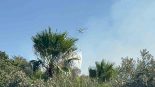 Muğlada ekipler 3 bölgede alevlerle mücadele ediyor