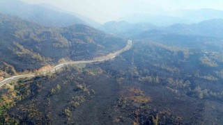 Muğlada yangın felaketinin boyutu drone görüntüleriyle ortaya çıktı