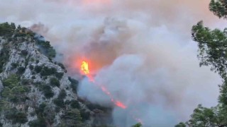Muğladaki yangınlara havadan müdahale başladı