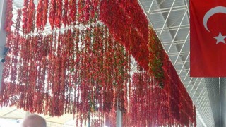 Muğlanın Menteşe ilçesinde kurutmalıklar yurt dışına açıldı