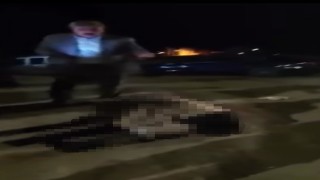 Muş-Bitlis yolunda otomobilin çarptığı yaşlı kadın hayatını kaybetti