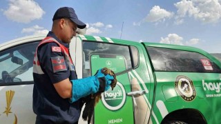 Muşta yaralı bulunan kartal koruma altına alındı