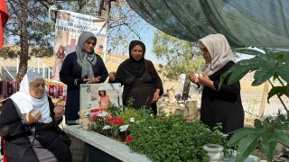 Narinin babası Arif Güran: Şu an Narini okula götürmem gerekirken mezarı başında oturuyorum