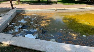 Nevzat Biçer Parkı bakımsızlıktan kullanılmaz hale geldi