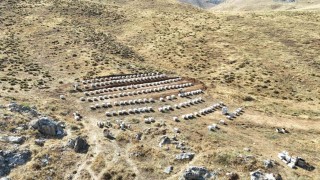 Nurhakın Tahtalı Yaylasında bal sağımı