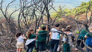 Öğrenciler küllerinden doğacak ormanlara nefes oldu