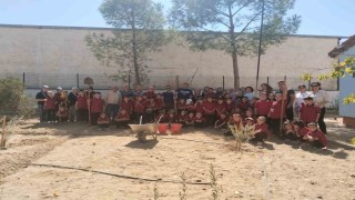 Okul bahçesinde fidan diktiler