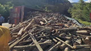 Orduda tomruk kamyonu devrildi: 21 ton tomruk yola saçıldı