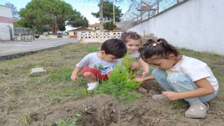 Ordulu miniklerden fidan dikim etkinliği