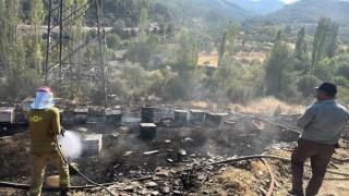 Ormancı Türküsünün yakıldığı Geveneste bu defa arı kovanları yandı