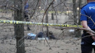 Ormanda bulunan ceset firari doktora ait çıktı