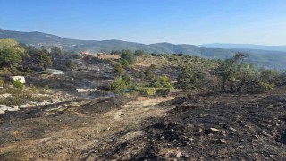 Ormanda piknik keyfi, faciaya sebep oluyordu...