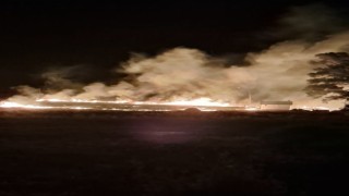 Ormanlık alana yakın mesafede yangın çıktı