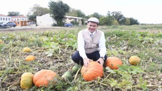 Osmangazi Belediyesi ata tohumlarını geleceğe taşıyor