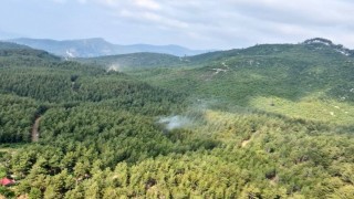 Osmaniye Orman İşletme Müdürlüğünden Vatandaşlara Uyarı