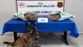 Osmaniye ve 74 İlde Uyuşturucu Operasyonu: 1.811 Şüpheli Yakalandı