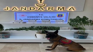 Osmaniye’de Jandarma Operasyonları: 1 Haftada 124 Şüpheli Yakalandı
