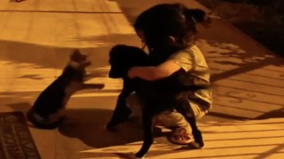 Osmaniye’de Kedi ve Köpeğin Kıskançlık Kavgası Gülümsetti