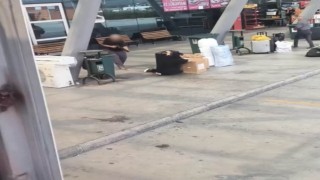 Osmaniyede kızını vuran baba tutuklandı