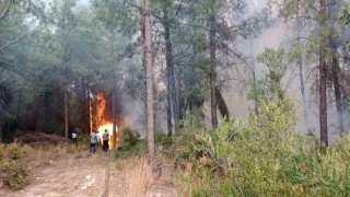 Osmaniyede orman yangını başladı