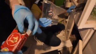 Osmaniyede terör örgütlerine yönelik operasyon: 2 tutuklama