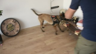 Osmaniyede uyuşturucu operasyonu: 2 tutuklama