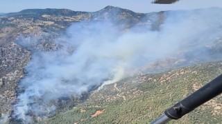 Ot temizlemek isterken ormanı yakan 3 şüpheli gözaltına alındı