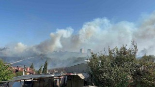 Otluk alanda çıkan yangın, fabrikaları ve villayı tehdit etti