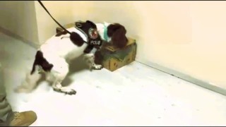 Otobüsle getirdiği 4,5 kilo uyuşturucuyu satamadan yakalandı