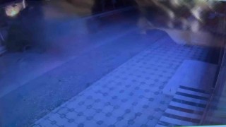 Otomobil ağaca çarptı: 3 yaralı