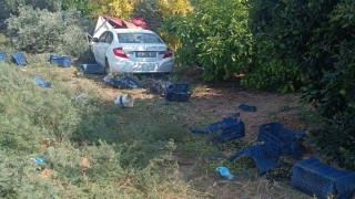 Otomobil bahçeye daldı: Hasat yapan işçilerden 1i öldü, 3ü yaralandı