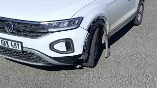 Otomobilin çarptığı köpek telef oldu