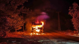 Park halindeki kamyon cayır cayır yandı