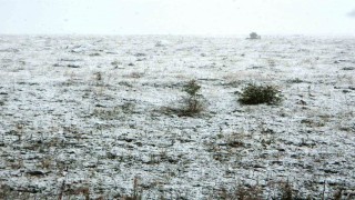 Posofta kar yağışı