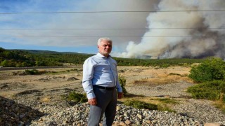 Prof. Dr. Küçük: Türkiye, orman yangınlarına müdahalede Avrupada birinci sıradadır