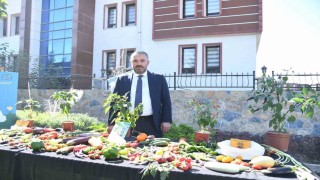 Pursaklar Belediyesi ‘Ata Tohumlarından elde ettiği sebzelerin hasadını yaptı